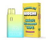 mocha mushroom vape
