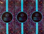 Trippy Treats Magic shrooms chocolate bars - Image 2